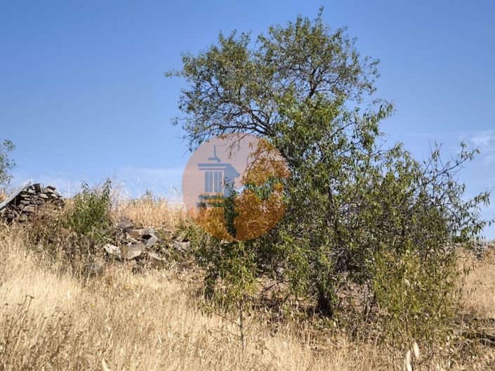 Image No.22-Terrain à vendre à Alcoutim