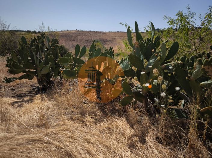 Image No.23-Plot for sale