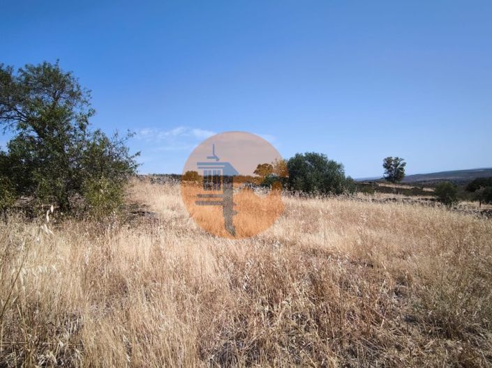 Image No.25-Plot for sale