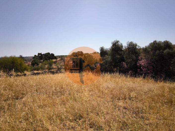 Image No.27-Plot for sale