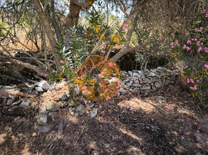 Image No.3-Terrain à vendre à Alcoutim