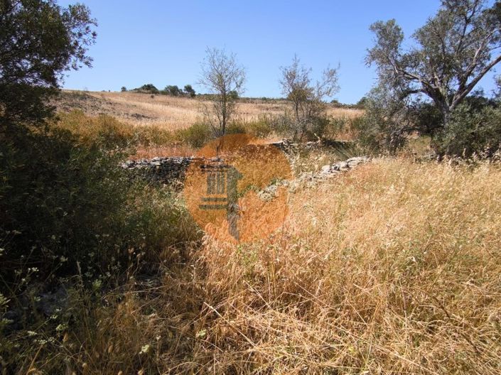 Image No.30-Plot for sale