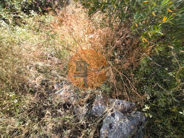 Image No.36-Plot for sale