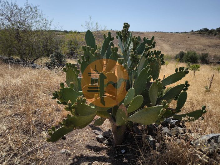 Image No.39-Terrain à vendre à Alcoutim