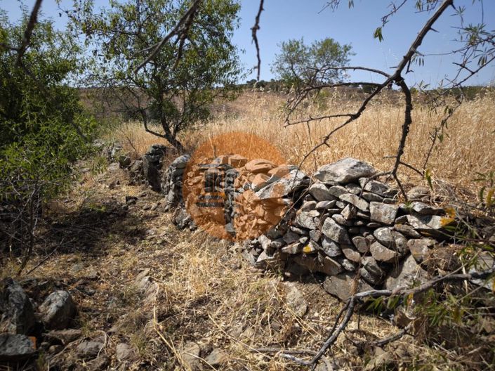 Image No.41-Plot for sale