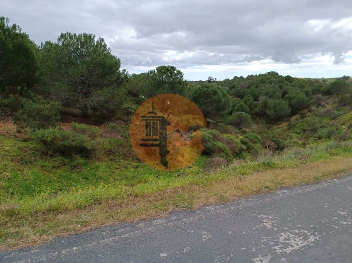 Image No.11-Plot for sale