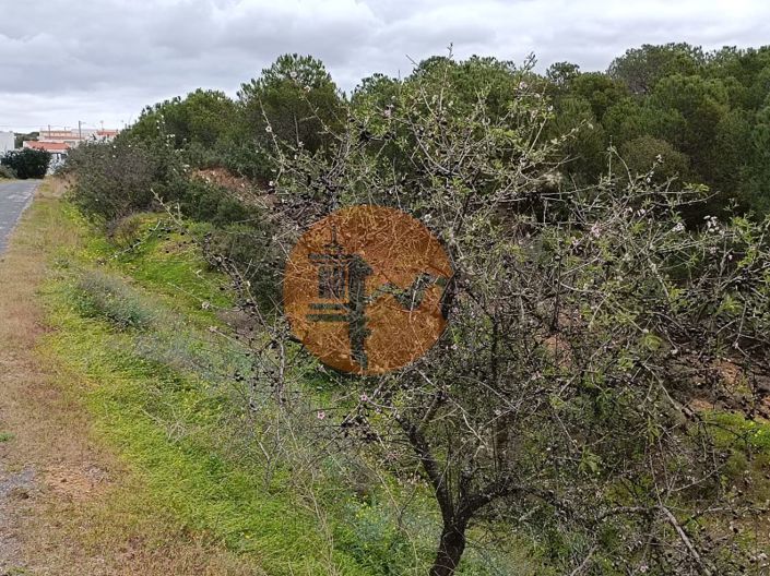 Image No.14-Plot for sale