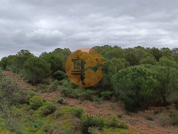 id2d956701-0000-0500-0000-000010fe1cc9