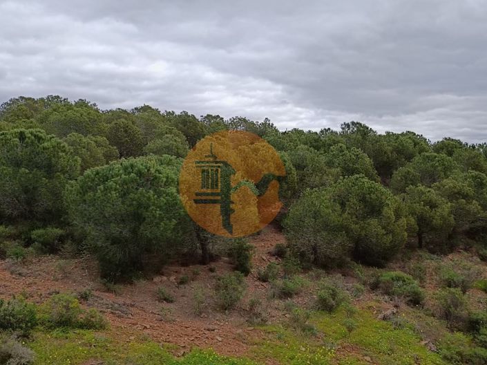 Image No.16-Plot for sale