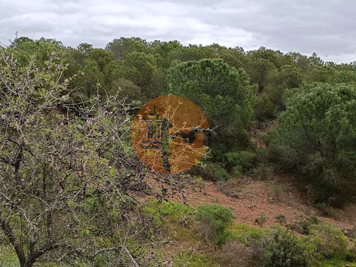 Image No.19-Plot for sale