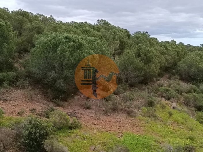 Image No.20-Plot for sale