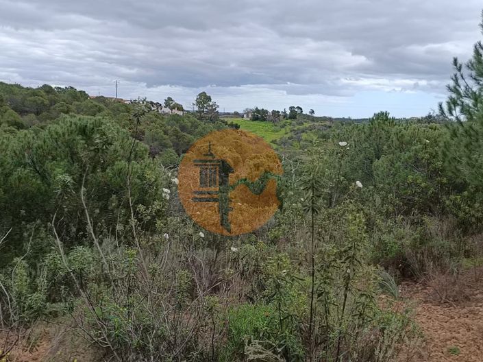 Image No.22-Plot for sale