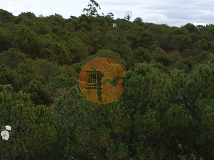 Image No.24-Plot for sale