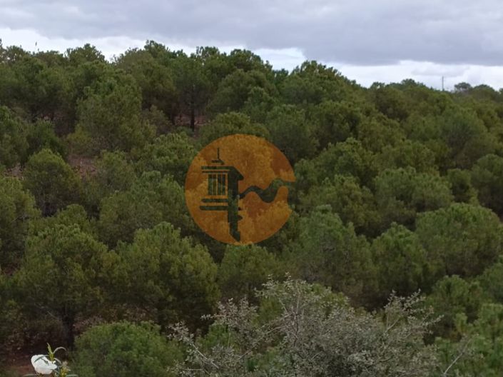 Image No.25-Plot for sale