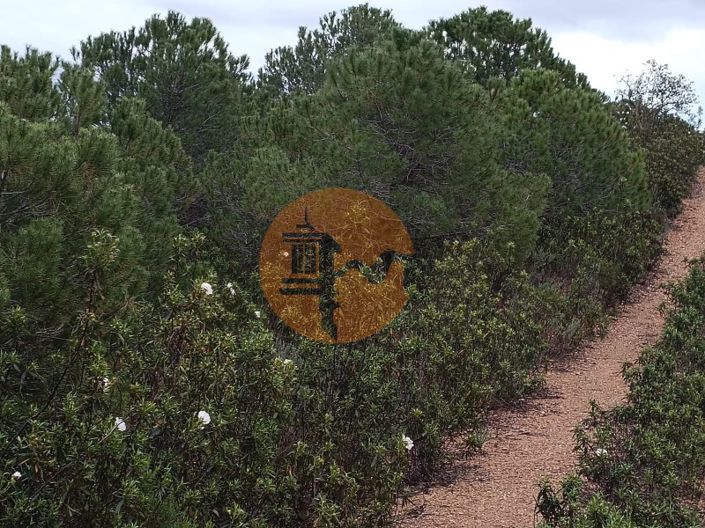 Image No.27-Plot for sale