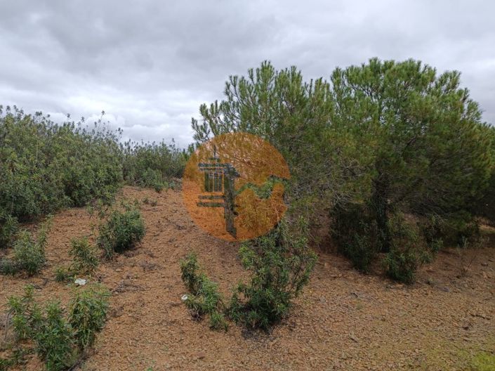 Image No.3-Plot for sale
