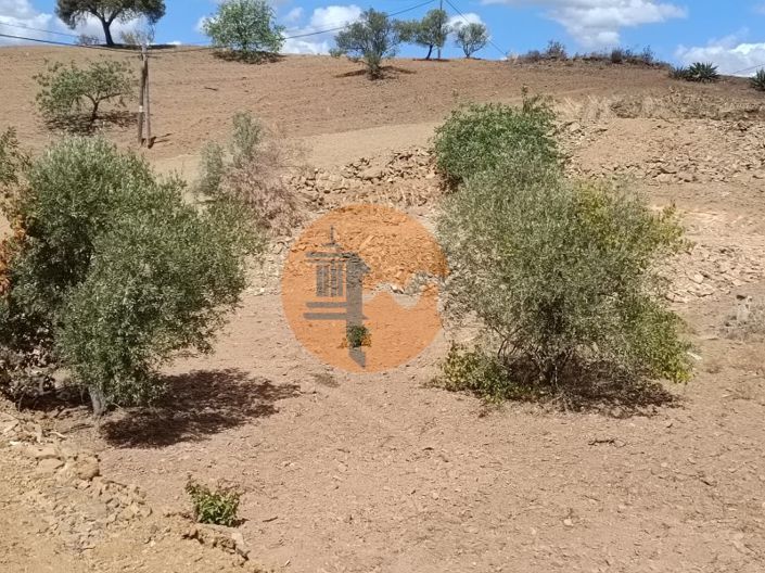 Image No.3-Plot for sale