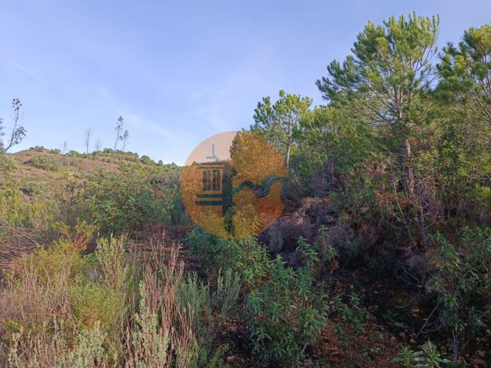 Image No.10-Plot for sale