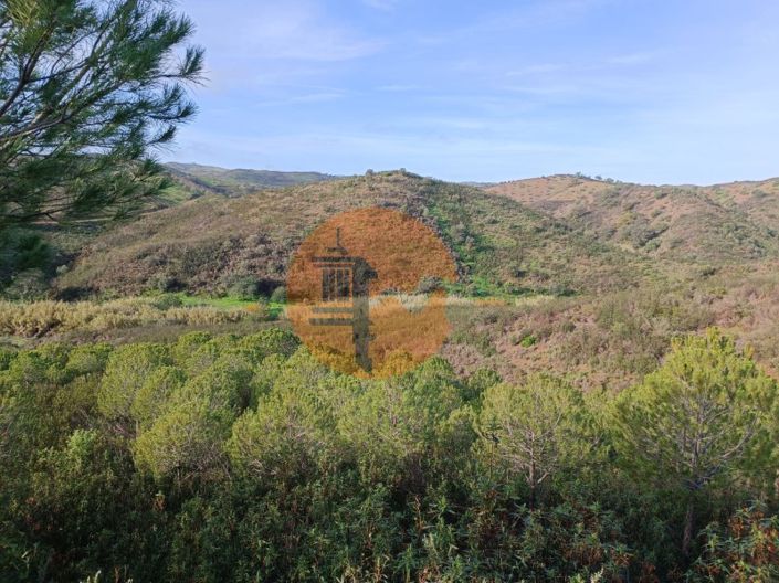 Image No.12-Plot for sale