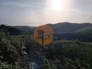 id79ed7401-0000-0500-0000-00001255f2a2