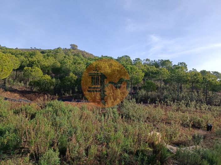 Image No.18-Plot for sale