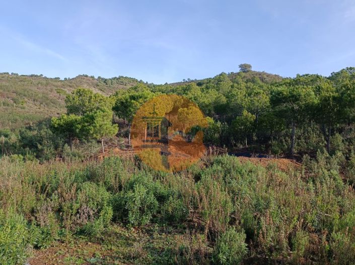 Image No.21-Plot for sale