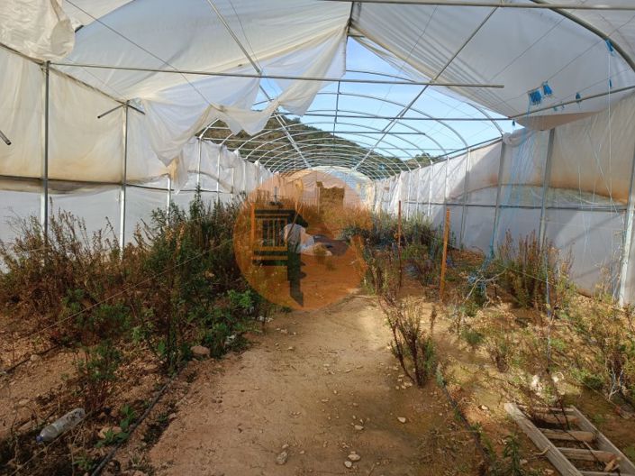 Image No.23-Plot for sale