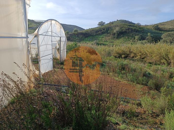 Image No.23-Plot for sale