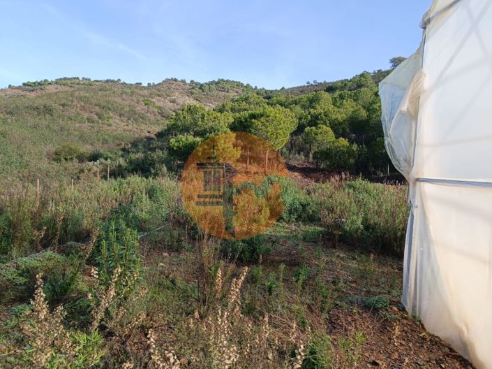 Image No.24-Plot for sale