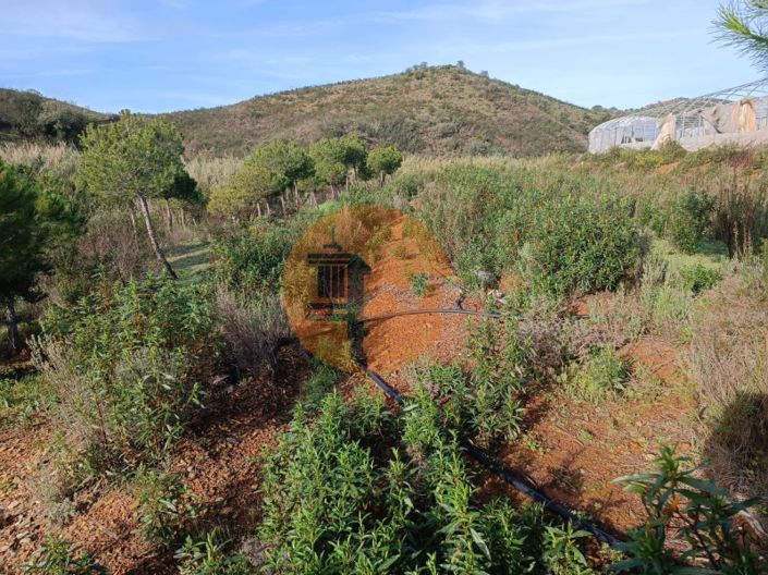 Image No.31-Plot for sale