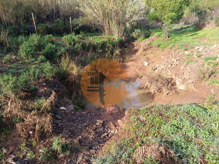 Image No.32-Plot for sale