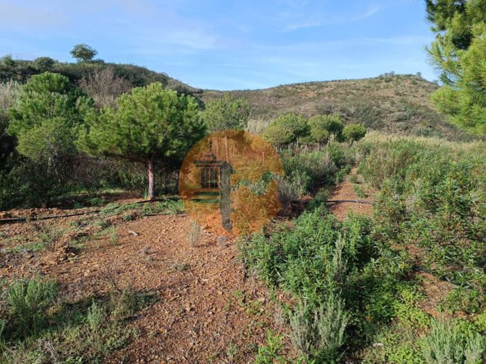 Image No.35-Plot for sale