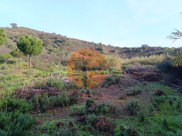Image No.36-Plot for sale