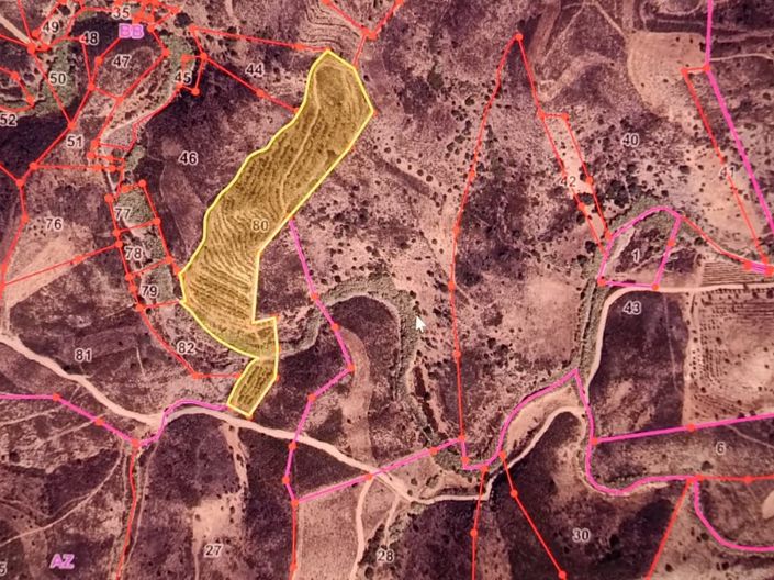 Image No.42-Plot for sale