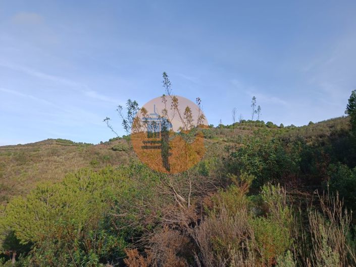 Image No.7-Plot for sale