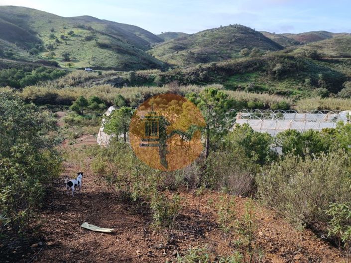 Image No.7-Plot for sale