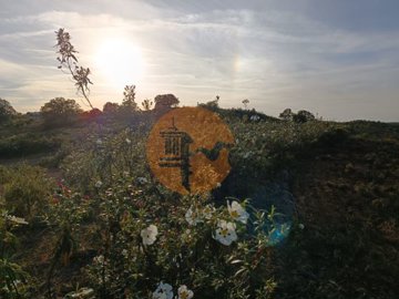 id9a2a7501-0000-0500-0000-0000124593cf