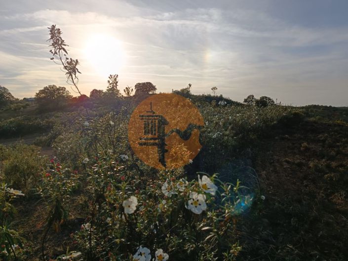 Image No.12-Terrain à vendre à Castro Marim