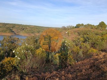 id9a2a7501-0000-0500-0000-0000124593d2