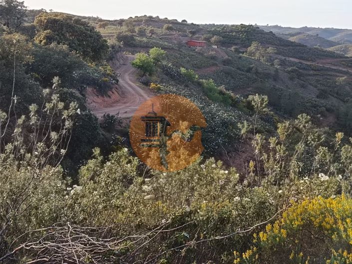 Image No.24-Plot for sale