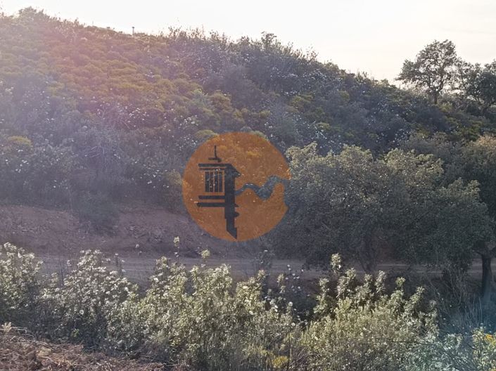 Image No.28-Plot for sale