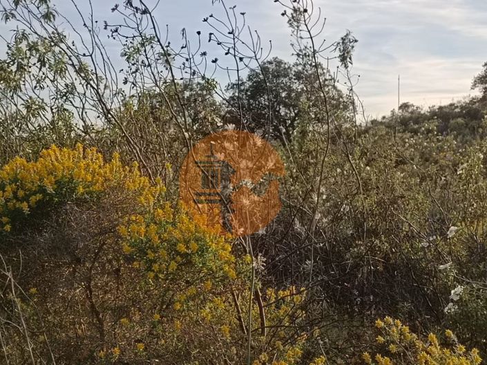 Image No.31-Terrain à vendre à Castro Marim