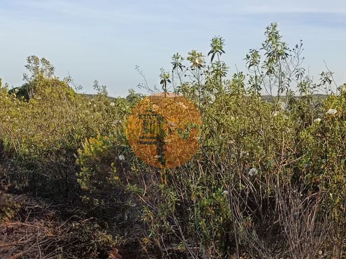 Image No.33-Plot for sale