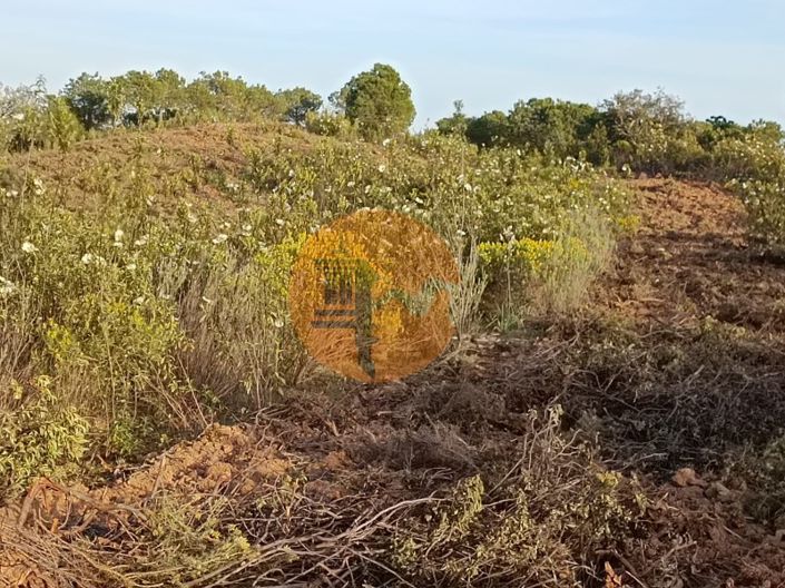 Image No.34-Plot for sale