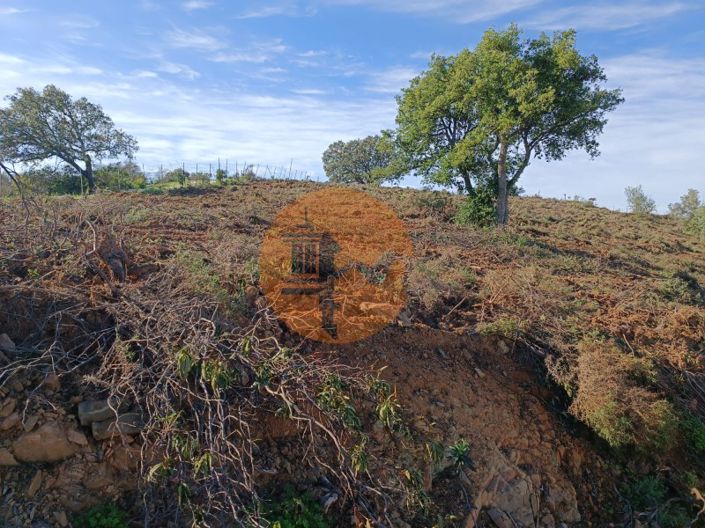 Image No.4-Plot for sale