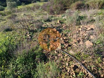 ida5f35901-0000-0500-0000-000012e8062e