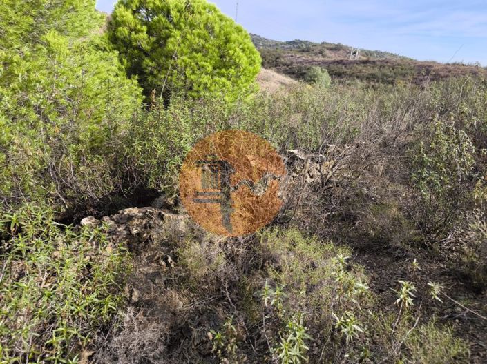 Image No.11-Plot for sale