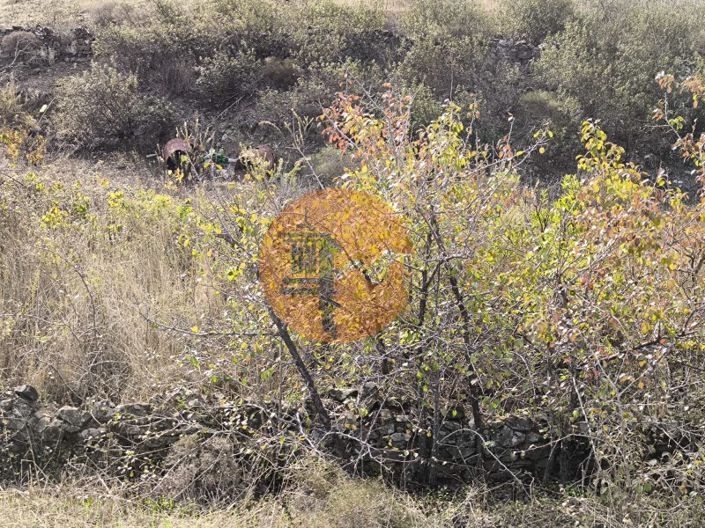 Image No.19-Plot for sale