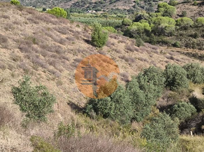 Image No.23-Plot for sale