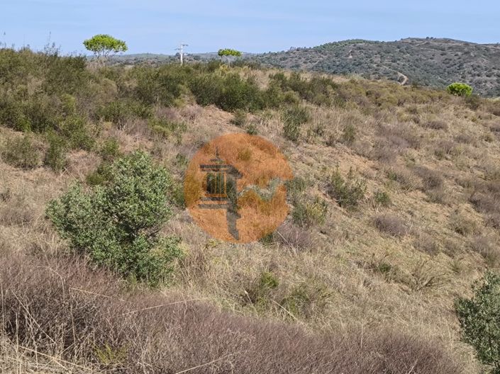 Image No.25-Plot for sale